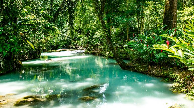 Turismo Tabasco presenta proyectos instrumentales en panel organizado por ONU México