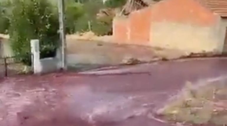 Vino tinto inunda calles de Levira, Portugal tras rotura de tanques