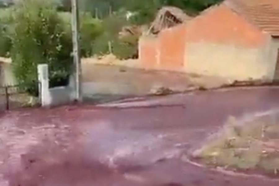 Vino tinto inunda calles de Levira, Portugal tras rotura de tanques