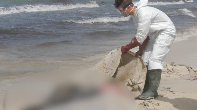 ¡Escalofriante! Captan a cadáveres flotando en el mar de Libia tras paso de ciclón "Daniel"