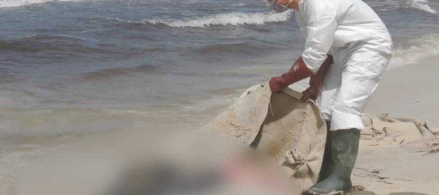 ¡Escalofriante! Captan a cadáveres flotando en el mar de Libia tras paso de ciclón "Daniel"