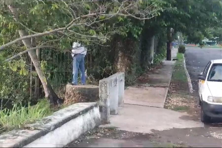 Graban a taxista orinando en Las Ilusiones