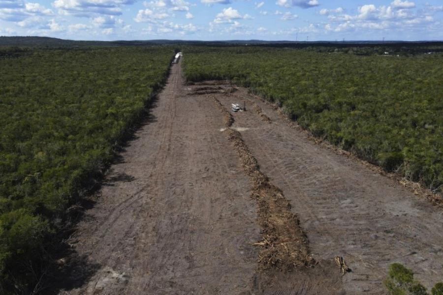 Expropian más terreno para el Tren Maya, ahora en Calakmul, Campeche