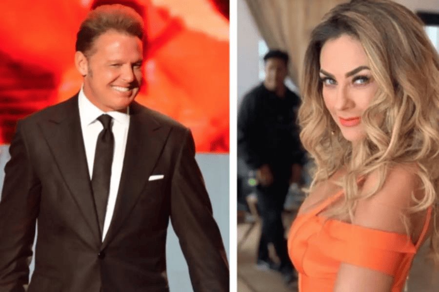 Aracely Arámbula demanda a Luis Miguel