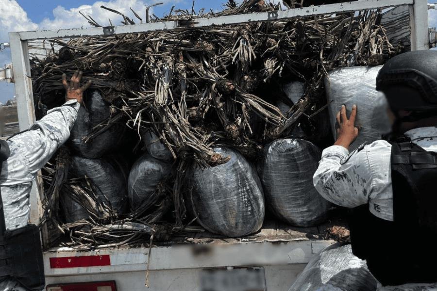 Cae sujeto con casi media tonelada de marihuana en Jalisco