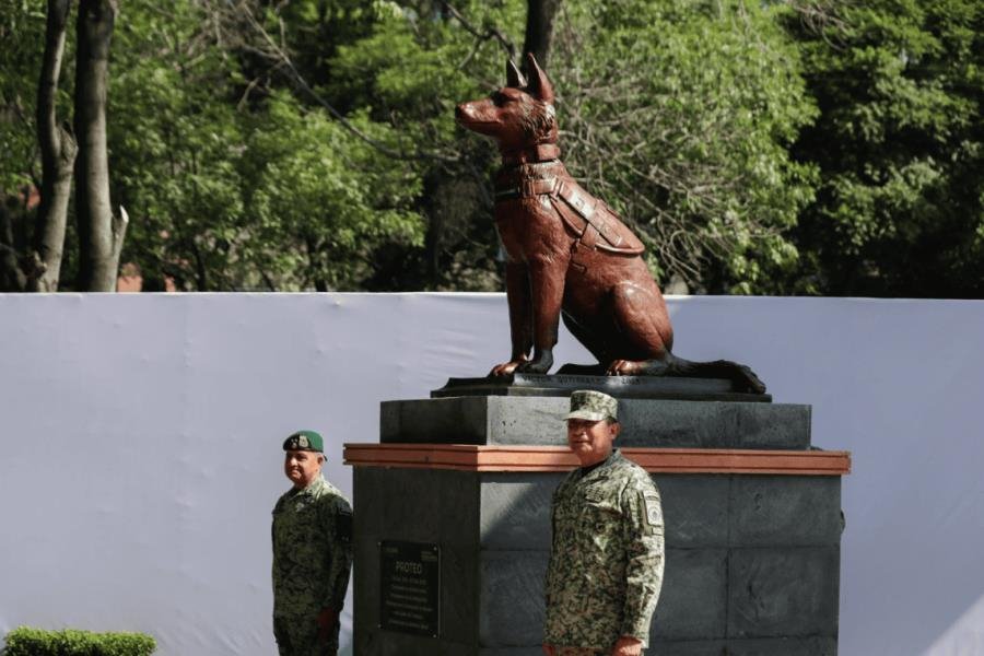 Develan estatua de Proteo, perro rescatista de Sedena fallecido en Turquía