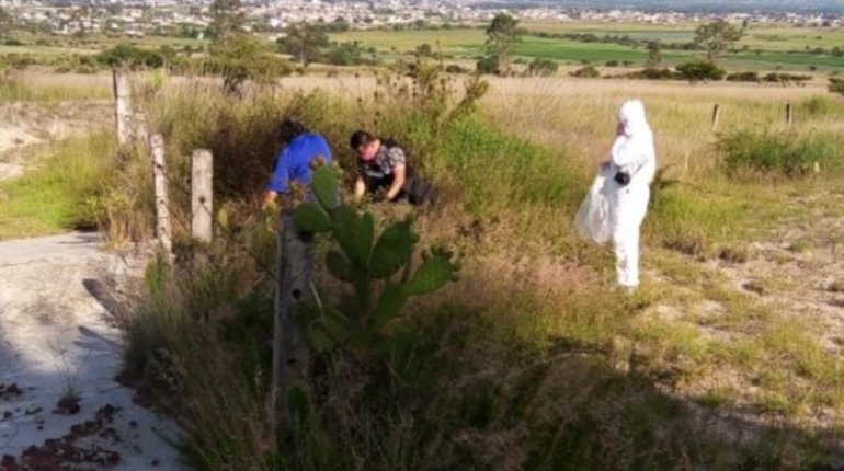 ¡Con los lomitos no! Calcinan 13 perros en Maravatío, Michoacán