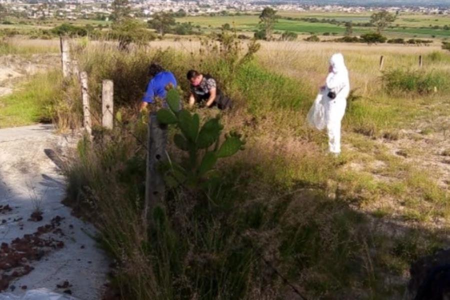 ¡Con los lomitos no! Calcinan 13 perros en Maravatío, Michoacán