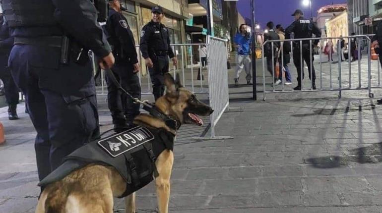 Muere agente canina tras ser olvidada dentro de patrulla en Aguascalientes