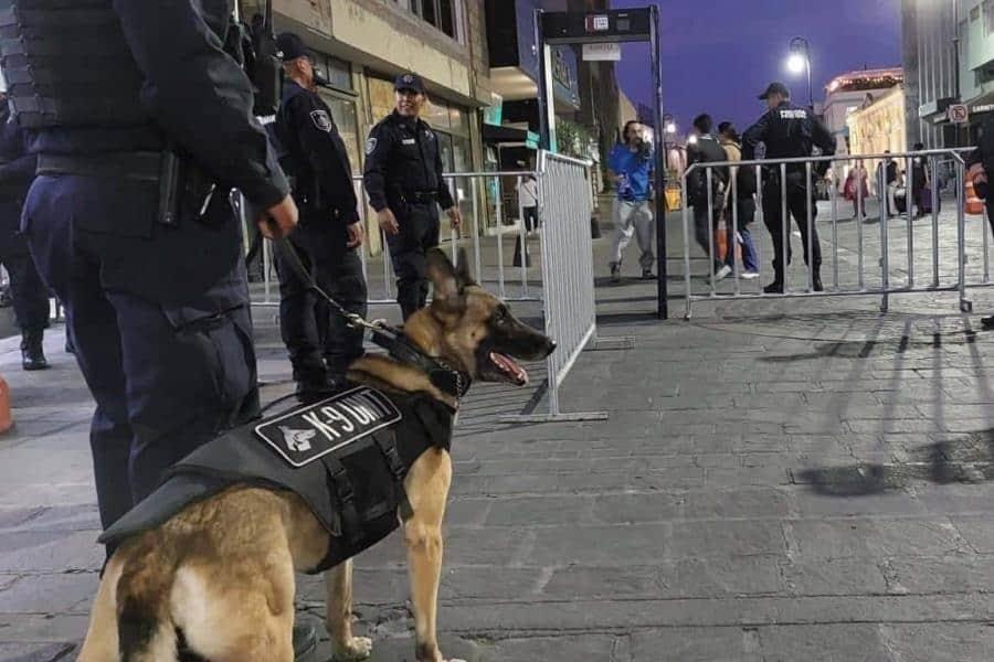 Muere agente canina tras ser olvidada dentro de patrulla en Aguascalientes