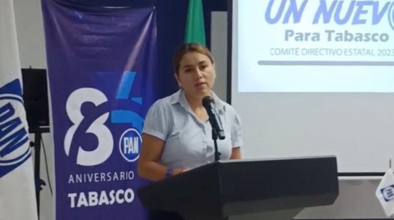 Que aspirantes con cargo público renuncien para evitar uso de recursos públicos en campaña pide el PAN