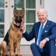 Expulsan de la Casa Blanca a ´Commander´, la mascota del presidente Biden