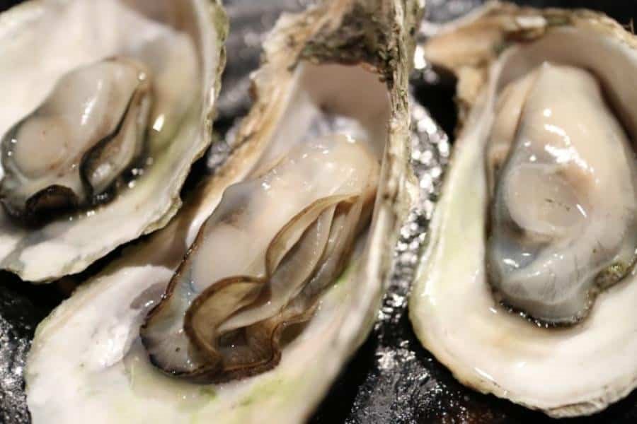 Llaman a no consumir ostión crudo y al tapesco por presencia de coliformes fecales en Paraíso