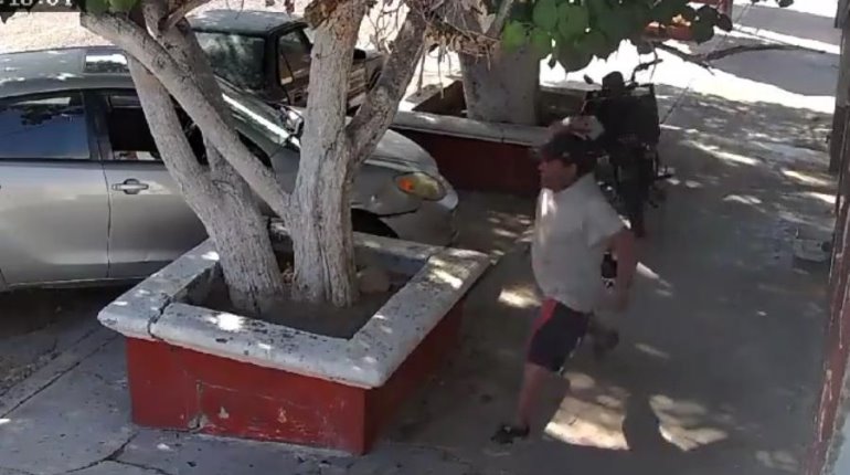 Sujeto en Baja California Sur lanza piedras a perritos y ¡se le cae la caguama!