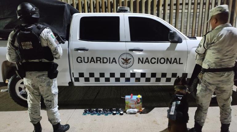 Guardia Nacional y binomios caninos hallan metanfetamina en paquetería de Sinaloa