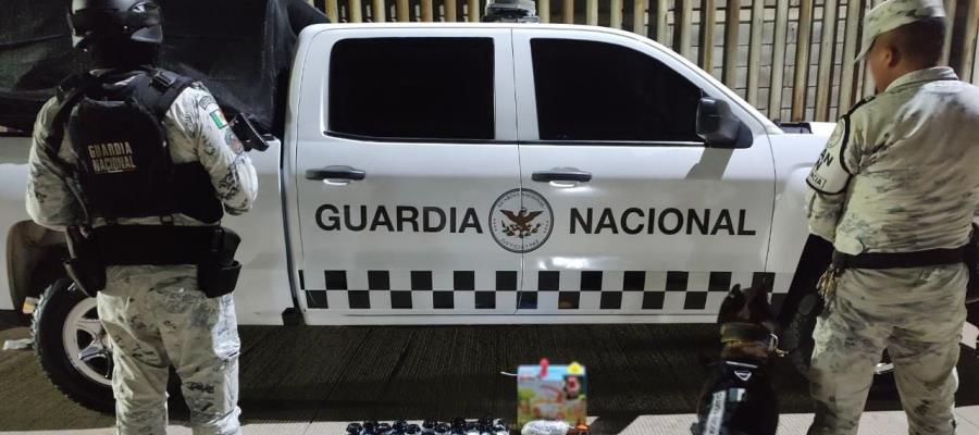 Guardia Nacional y binomios caninos hallan metanfetamina en paquetería de Sinaloa