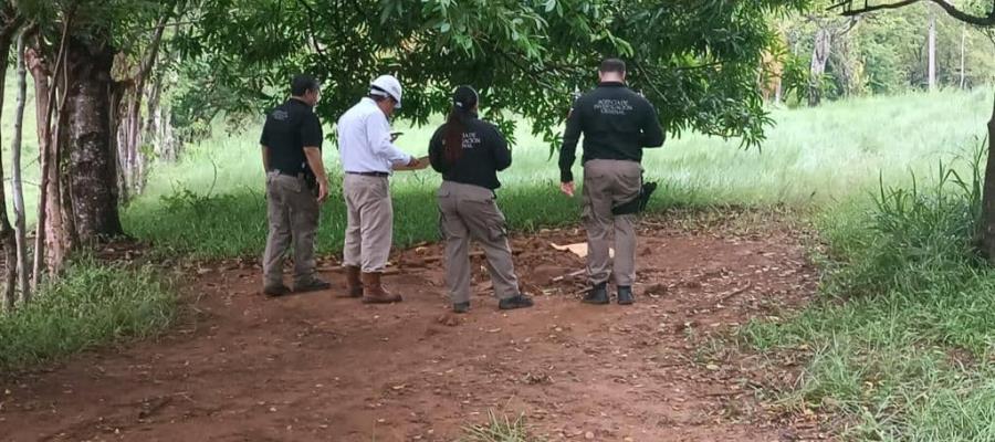 Tras cateo asegura FGR un inmueble con tomas clandestinas de hidrocarburos en Playas del Rosario