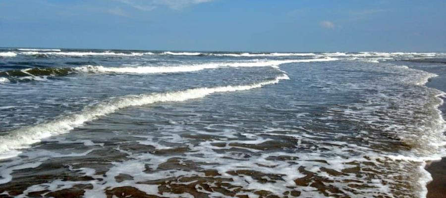 Detecta Salud marea roja en playas de Centla