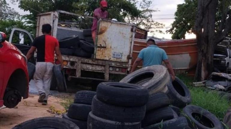 Retiran 211 toneladas de cacharros en primera etapa de acciones contra dengue