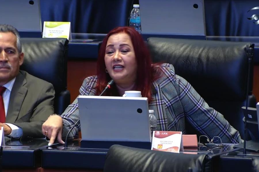 Senadora propone que legisladores donen un día de sueldo para damnificados en Guerrero