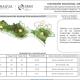 Lluvias muy fuertes a torrenciales se presentarían en Tabasco la mayor parte de semana entrante