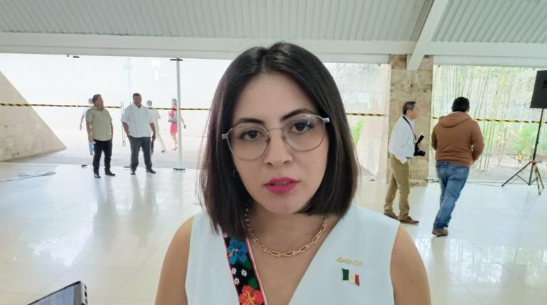 Solo una persona se anota en Tabasco para buscar una diputación federal independiente: INE