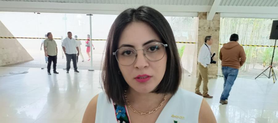 Solo una persona se anota en Tabasco para buscar una diputación federal independiente: INE