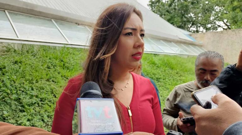 IEPC no comparte postura del PRI sobre riesgo en elección por violencia: Elizabeth Nava