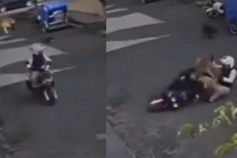 ¡Salta desde la tercera cuerda! Perrito brinca sobre motociclista y lo tira