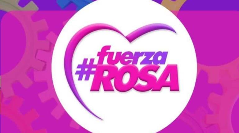 Convocan organizaciones ciudadanas a formar "Fuerza Rosa" en apoyo a Xóchitl