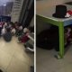 Niños disfrazados se esconden debajo de mesas ante balaceras en Sonora