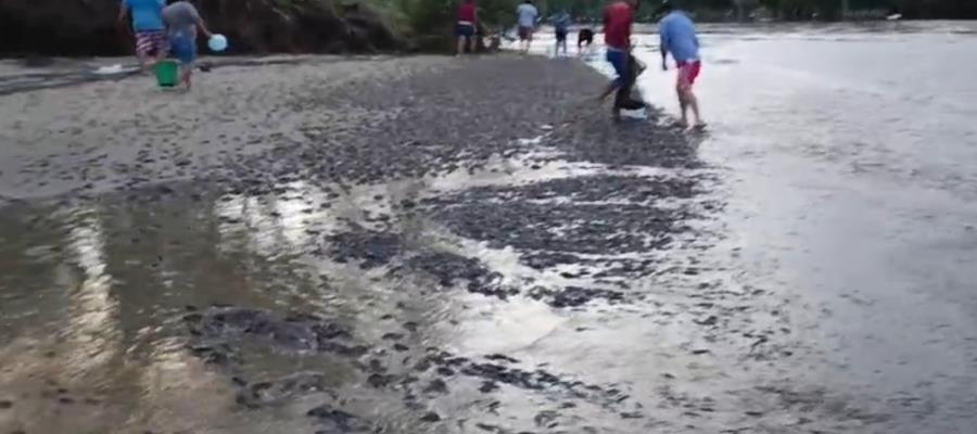 Miles de topenes inundan la playa Arroyo Verde, en Paraíso 