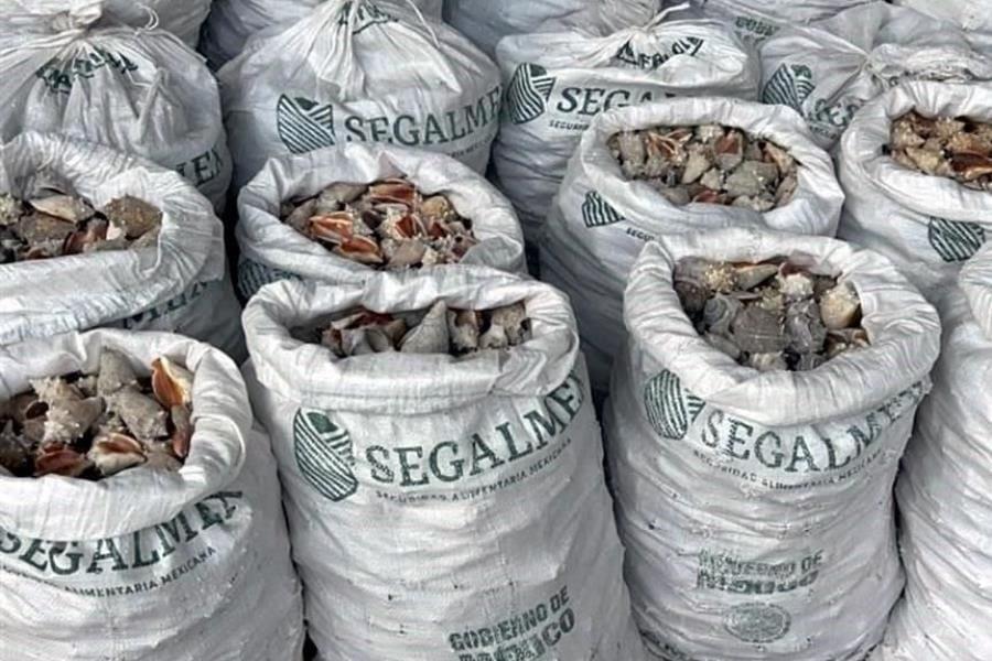 No realizamos exportaciones: Se deslinda Segalmex de droga decomisada en Hong Kong