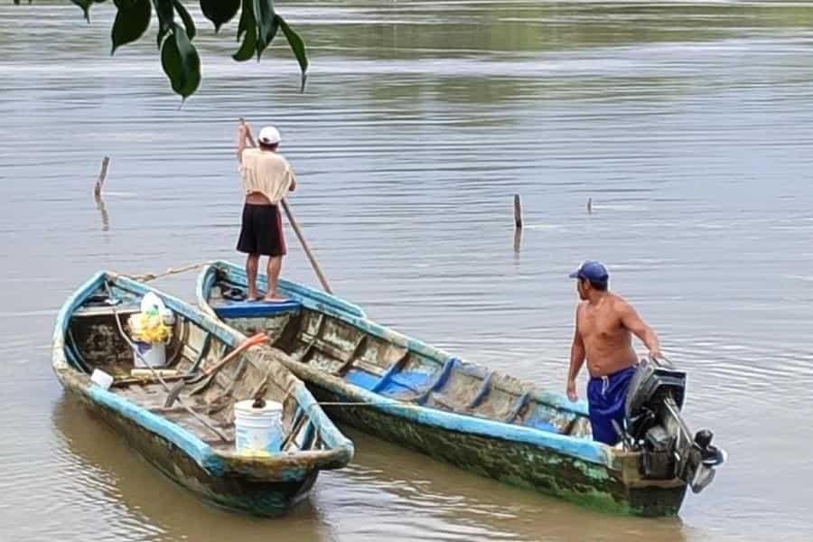 Desbordamiento del Usumacinta afectaría zonas bajas y cercanas al afluente: Conagua Tabasco