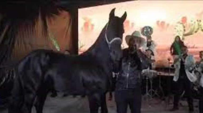 Marco Flores, vocalista de banda La Jerez, sufre accidente con su caballo