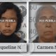 Mueren 6 tabasqueños en la Chetumal-Escárcega; se dirigían a Playa del Carmen