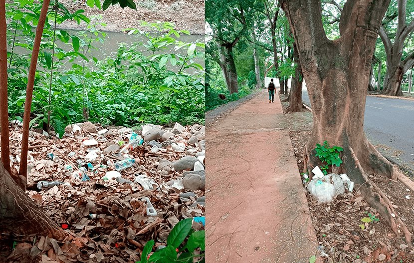 Indigna a chilena basura arrojada por ciudadanos en dren del Campestre  