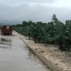 Presentan Time Lapse de construcción de puente Boca del Cerro para Tren Maya