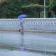 Lluvias fuertes se esperan para este sábado en Tabasco