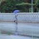 Refuerza Salud planes para hacer frente a lluvias por Beryl