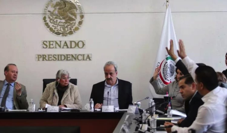 Comisión Del Senado Aprueba Terna De Amlo Para La Corte 1061