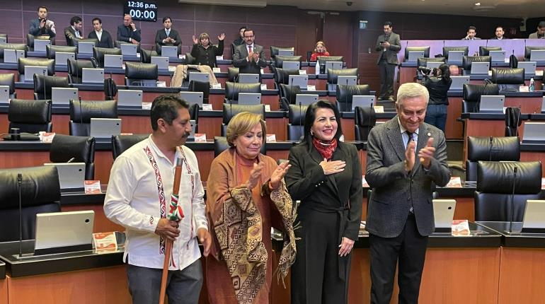 Rinde protesta Adriana Manzanilla como senadora suplente de Mónica Fernández