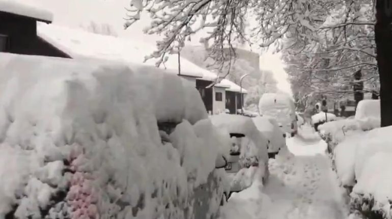 Fuertes nevadas en Alemania paralizan parcialmente todos los servicios