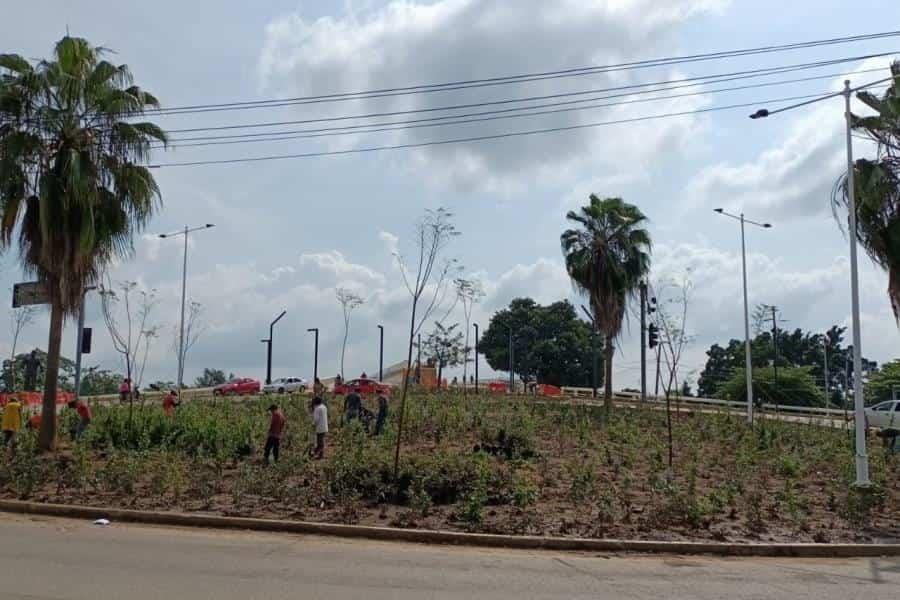 Quitan reloj floral y siembran 5 mil plantas en glorieta de Paseo Tabasco