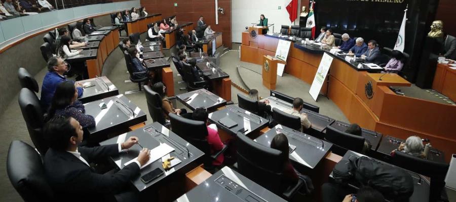 Senado rechaza segunda terna para designar a Ministra de la Corte...ahora lo hará AMLO