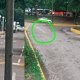 Automovilistas circulan en sentido contrario en el parque Tomás Garrido, denuncian