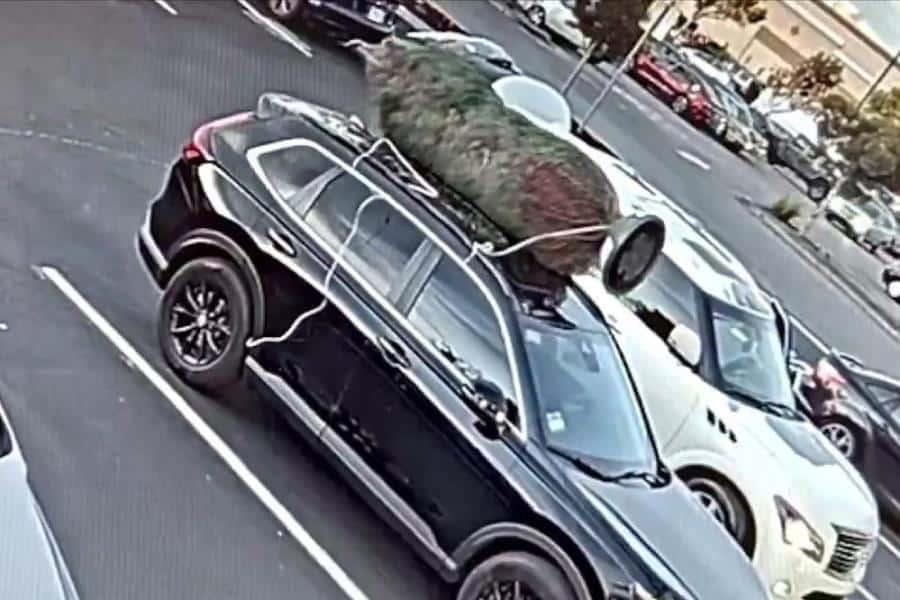 ¡Se roba la Navidad! Sujeto hurta pino a familia en California