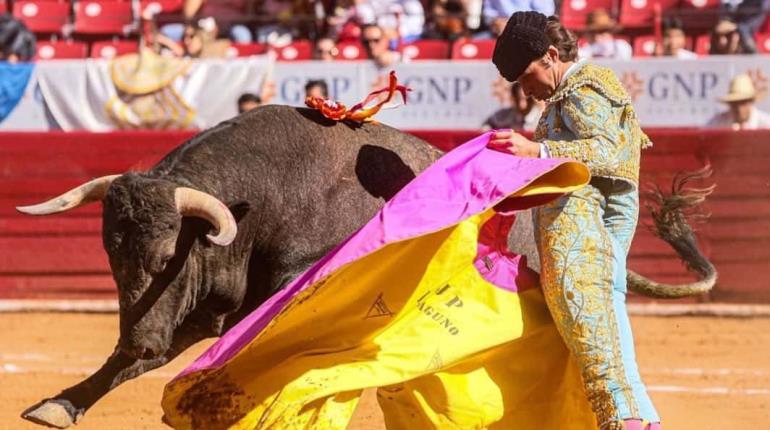 Corridas de toros vuelven a Plaza México:  SCJN