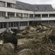 En protesta, agricultores de Francia rocían estiércol en edificios de gobierno