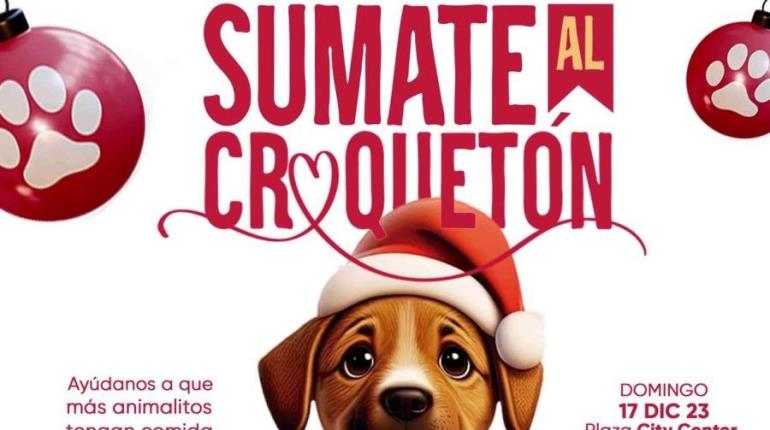 ¿Nos echas una pata? Croquetón lanza su edición 2023 a favor de gatos y perros